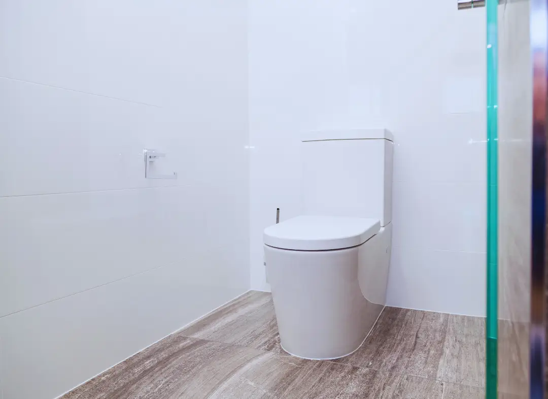 Remplacement de wc Vétraz-Monthoux