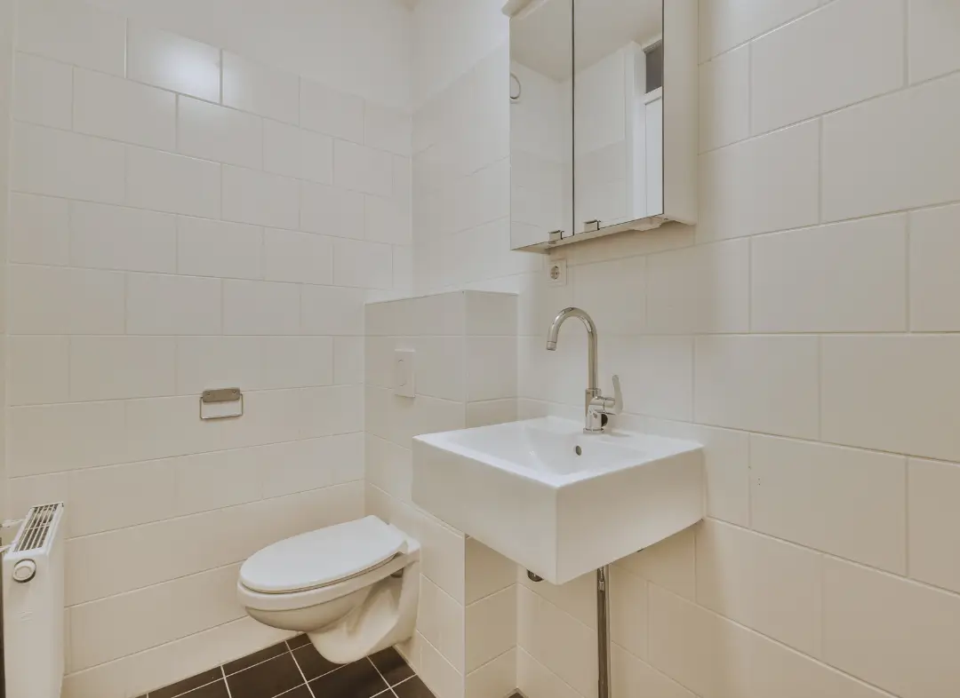 Pose WC Suspendu Vétraz-Monthoux